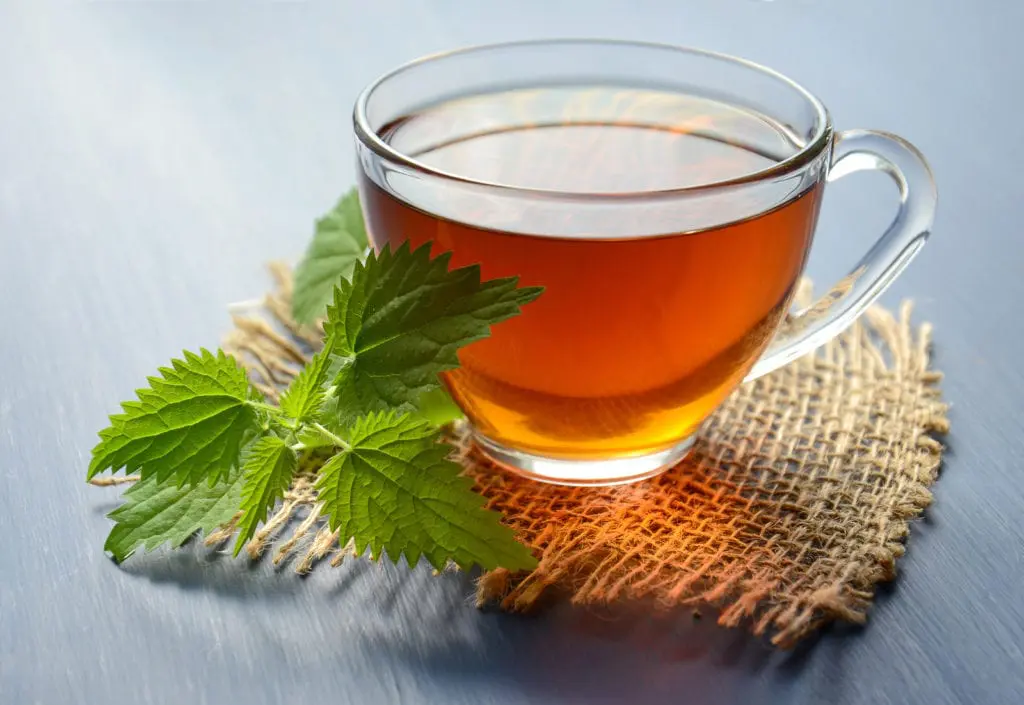 Cup of peppermint tea