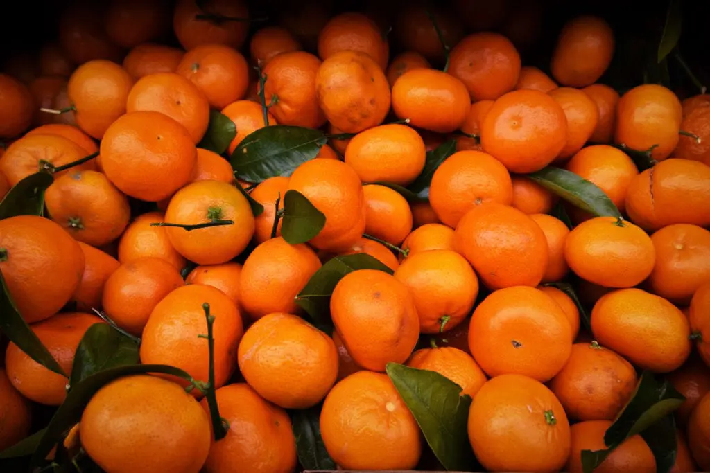 Pile of satsumas