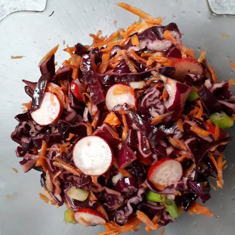 Salad with red cabbage, carrots and radish