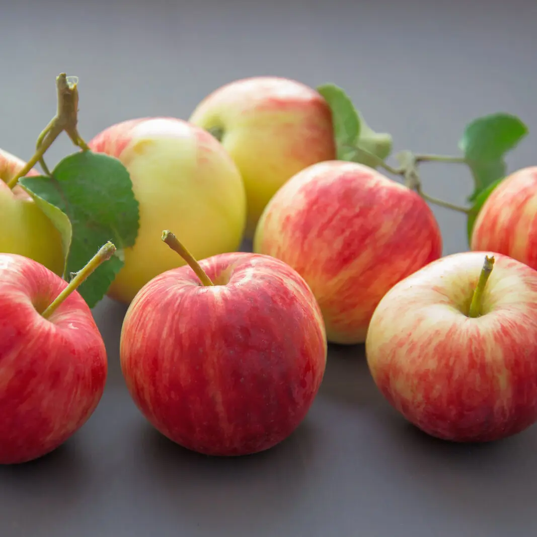 Pile of apples