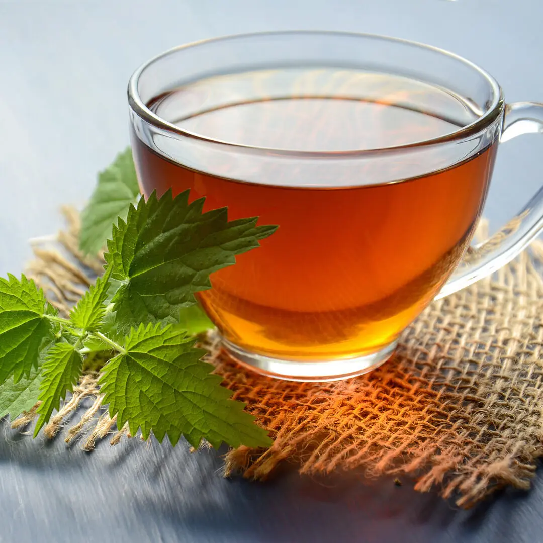 Cup of peppermint tea